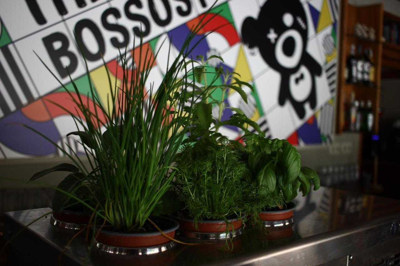 The Bossost Hotel ภายนอก รูปภาพ